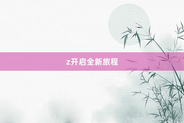 z开启全新旅程