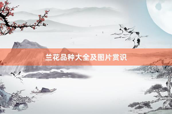 兰花品种大全及图片赏识