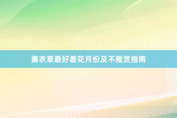 薰衣草最好着花月份及不雅赏指南