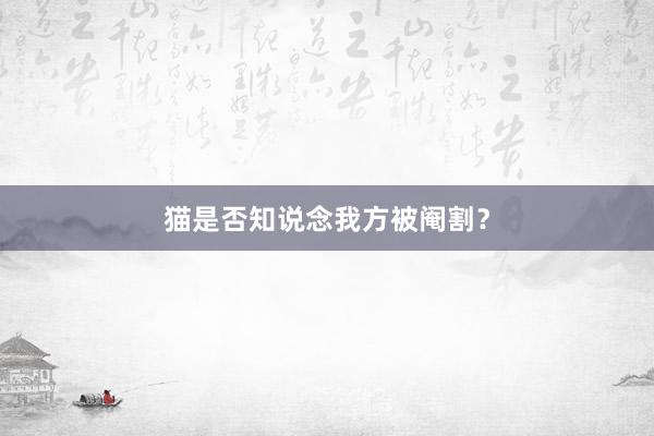 猫是否知说念我方被阉割？