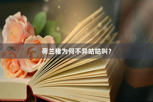 荷兰猪为何不异咕咕叫？